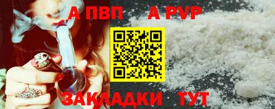 прущие грибы Обнинск