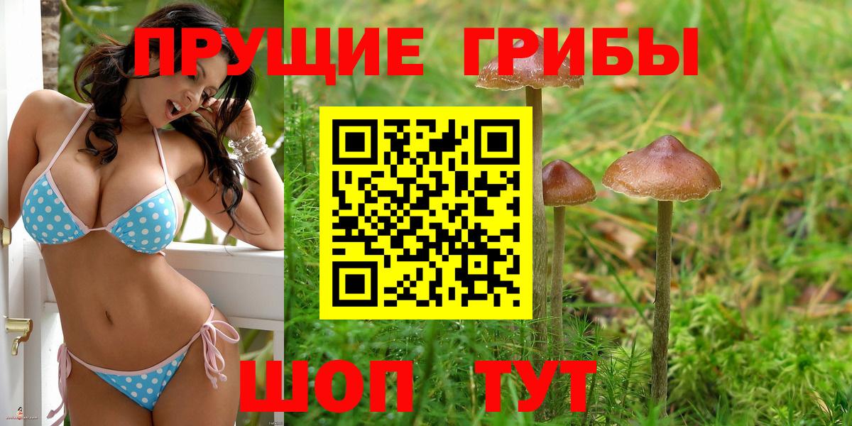 Галлюциногенные грибы GOLDEN TEACHER Нягань